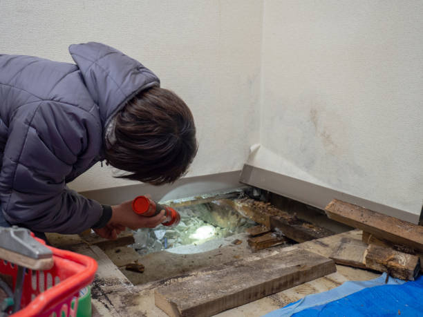 Best Air Quality Testing for Mold Spores  in Elizabethtown, KY