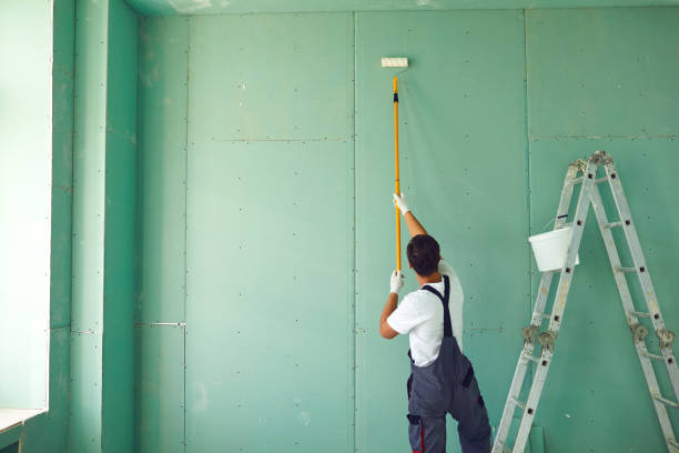 Best Attic Mold Removal  in Elizabethtown, KY