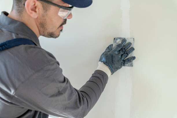 Professional Mold Removal in Elizabethtown, KY