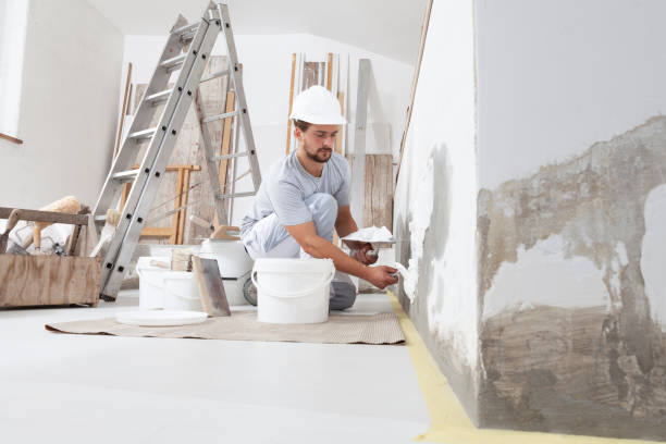 Best Crawl Space Mold Remediation  in Elizabethtown, KY