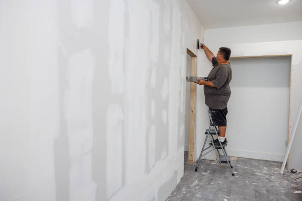 Best Mold Remediation for Rental Properties  in Elizabethtown, KY