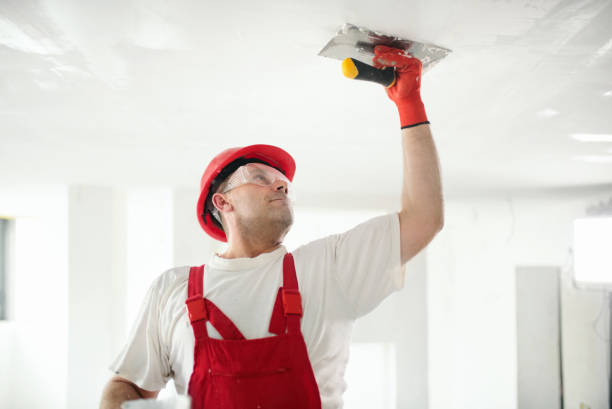 Best Industrial Mold Remediation  in Elizabethtown, KY