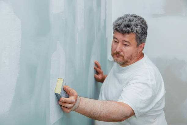 Best Mold Removal for HVAC Installations  in Elizabethtown, KY