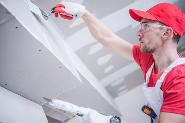 Best Airborne Mold Testing  in Elizabethtown, KY